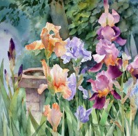 /album/ann-mortimer3/bird-bath-and-irises-jpg1/