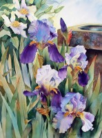 /album/ann-mortimer3/iris-and-clematis-jpg1/