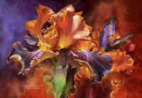 /album/carol-cavalaris2/goddess-of-miracles-carol-cavalaris-005-jpg1/