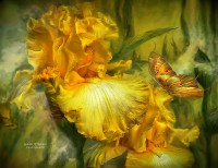 /album/carol-cavalaris2/goddess-of-summer-carol-cavalaris-jpg1/
